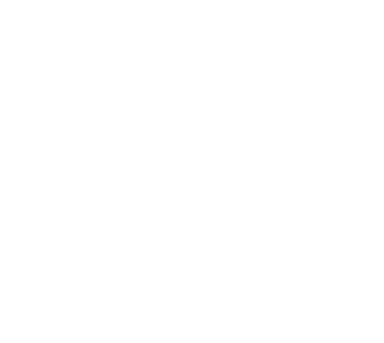 mto amega 2026